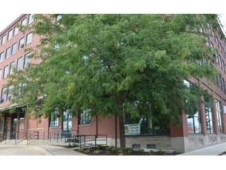 Photo - Bottleworks Loft Condos