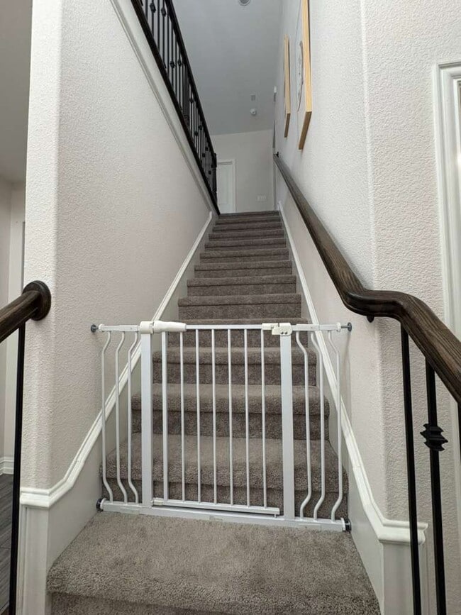 Photo - 609 Cattle Chute Ct