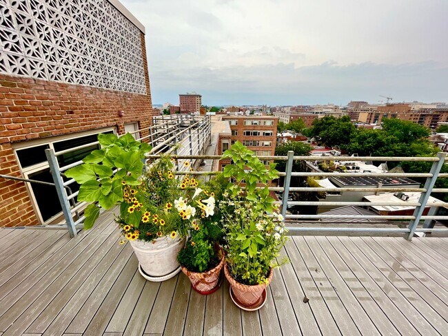 Photo - Cute 1 BR/1 BA Condo in Dupont Circle!