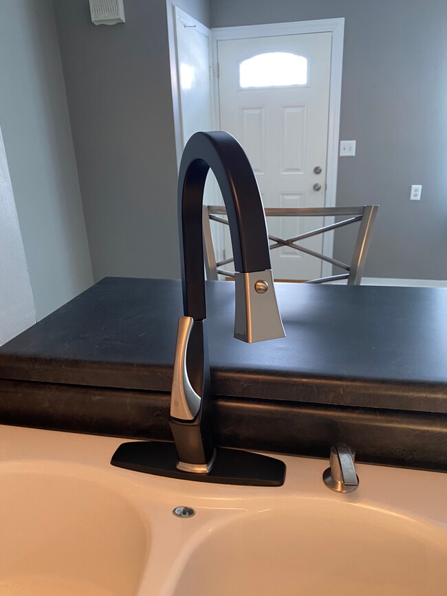 Pull down kitchen faucet - 403 W Boone St