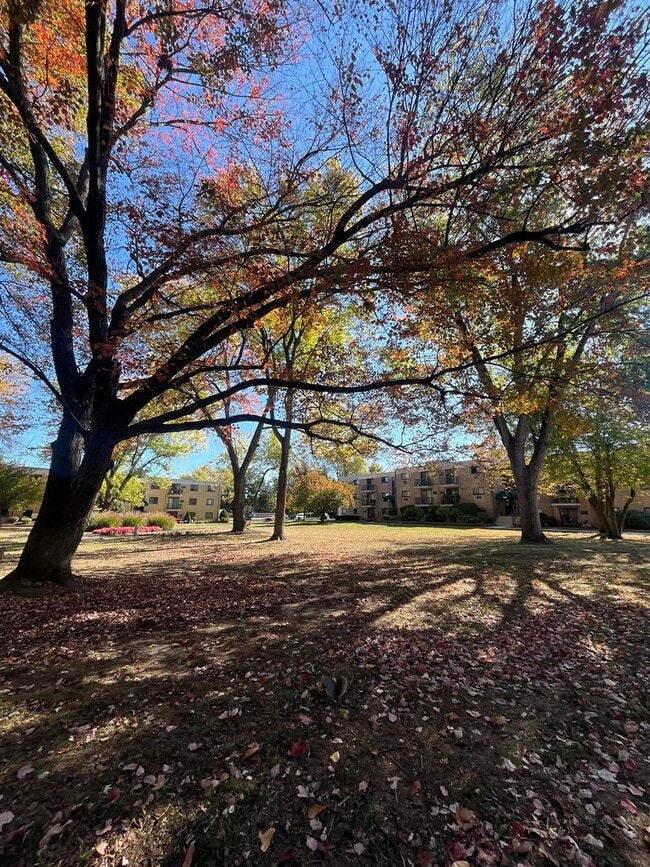 Photo - 1 Bd / 1 Bth Warminster Condo Unit 318