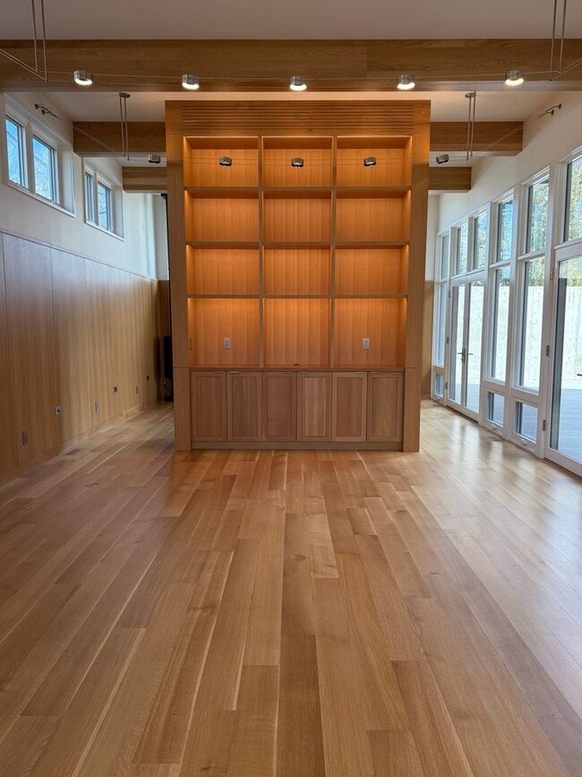 Photo - Silver Maple Stunning