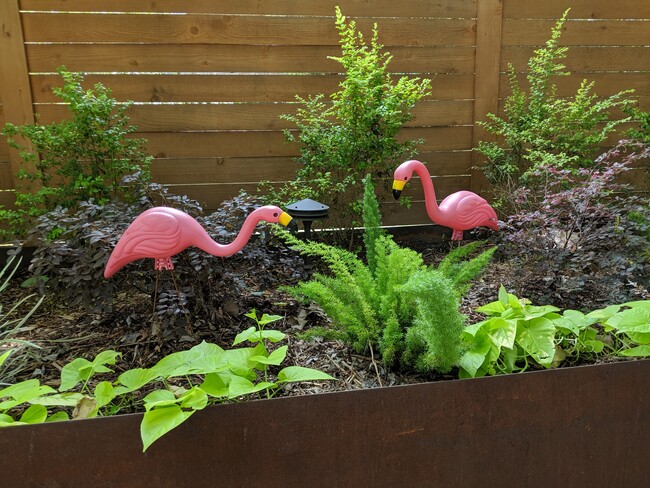 Photo - 507 Franklin Blvd Unidad 2