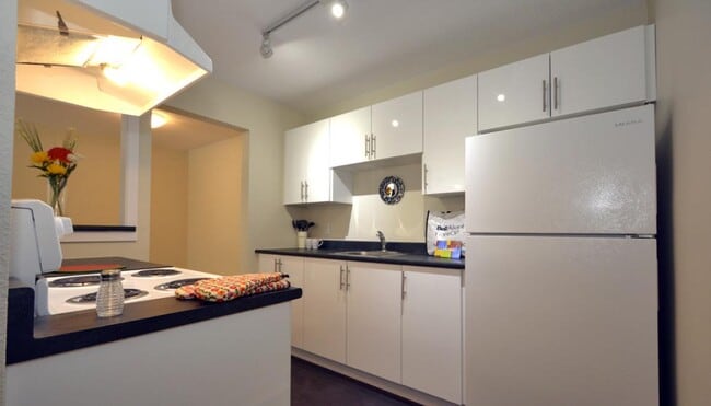 Photo - 67 & 141 Harlington