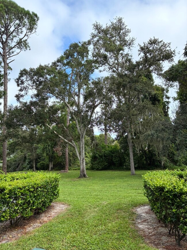 View from back windows, door - 3038 Eastland Blvd Unit Imperial oaks condominium