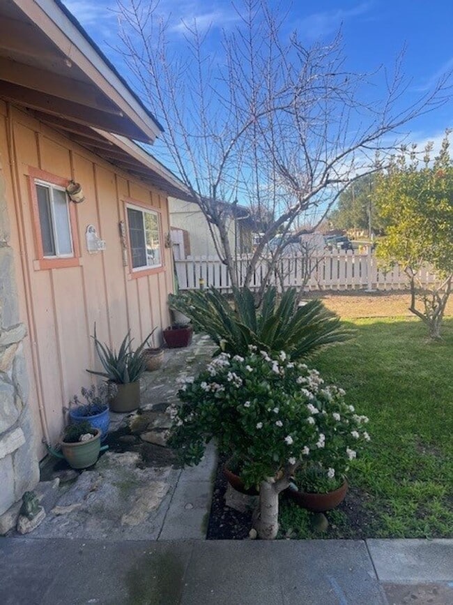 Photo - Charming Home with Expansive Yard, Fruit Trees & RV Parking