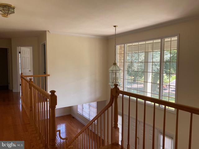 Photo - 8 Poplar Ct