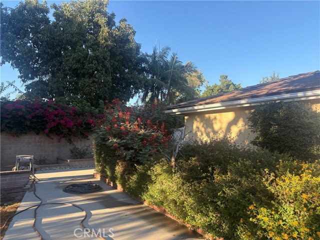 527 Rosemarie Dr