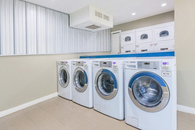 Photo - Harper at the Park