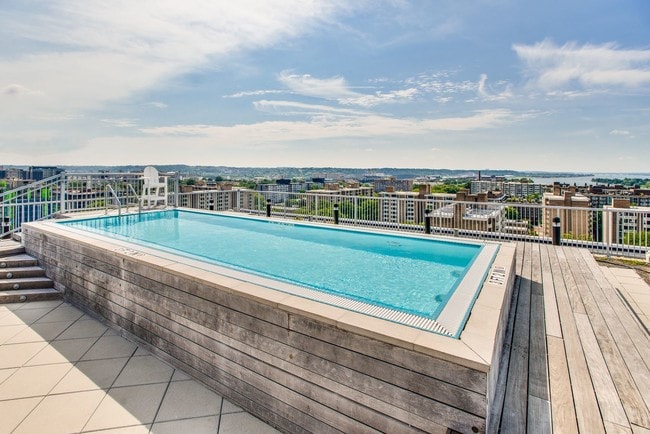 Both Lex and Leo feature rooftop pools with great views of Washington DC