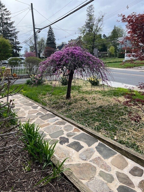 Photo - 140 W Evergreen St