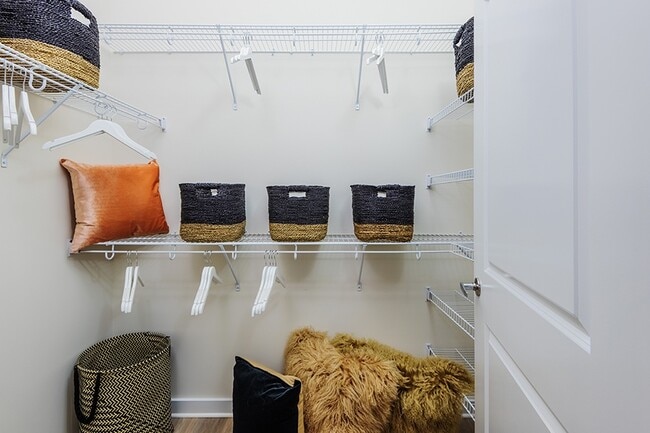 Our spacious bedrooms are paired with large, walk-in closets with built-in shelving
