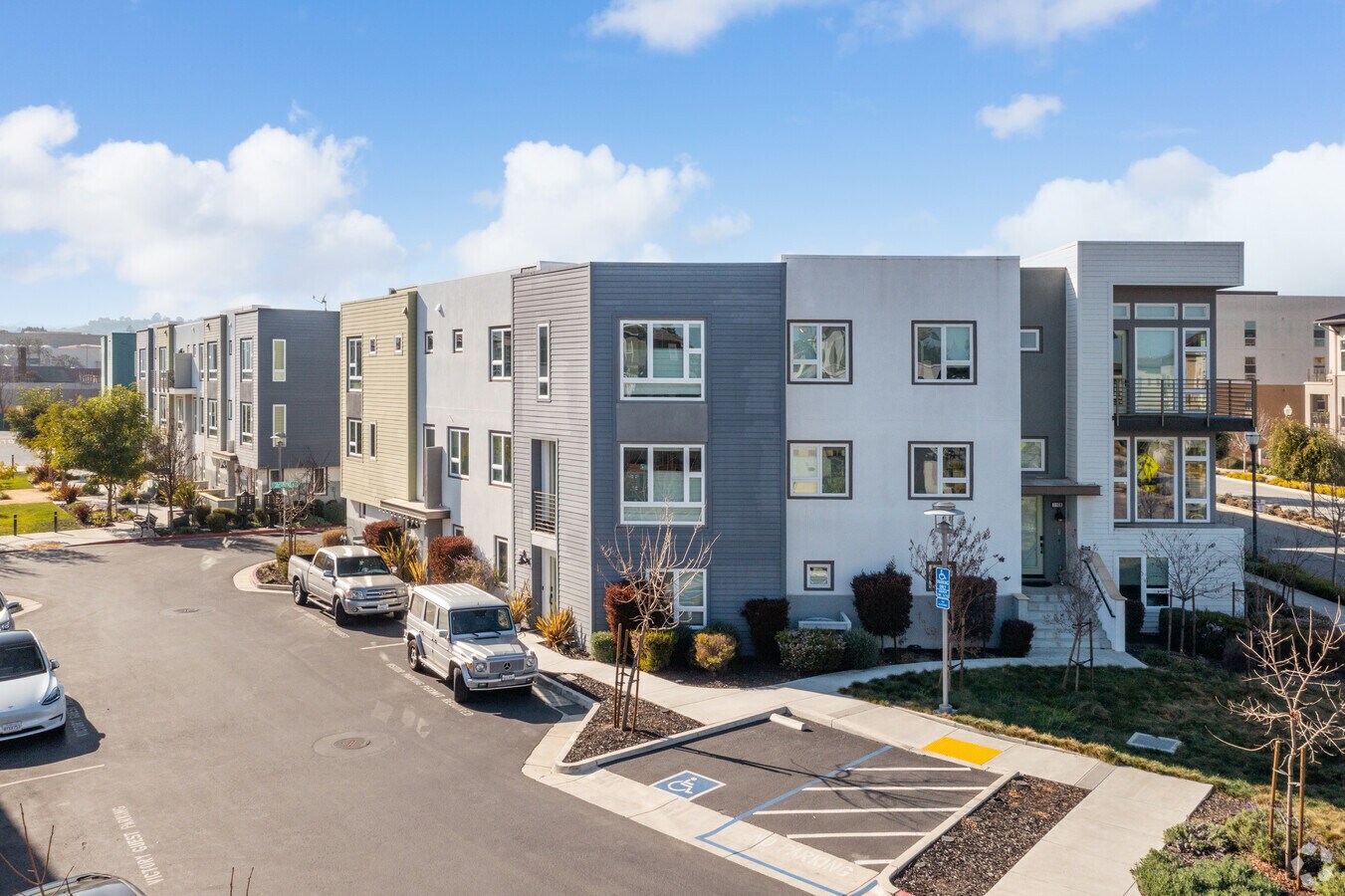 Photo - Meadow Walk II