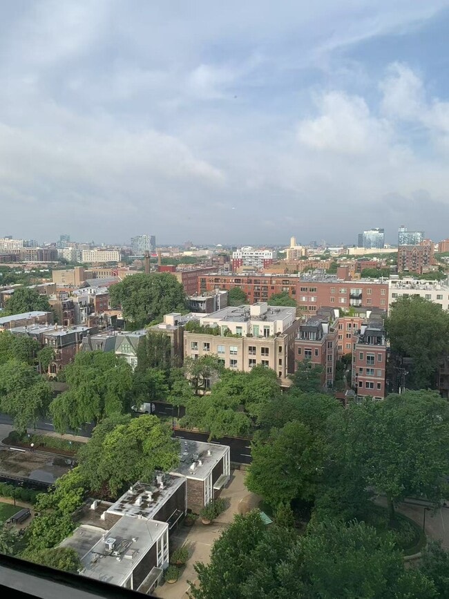 Photo - 1455 N Sandburg Terrace Unit 1503B