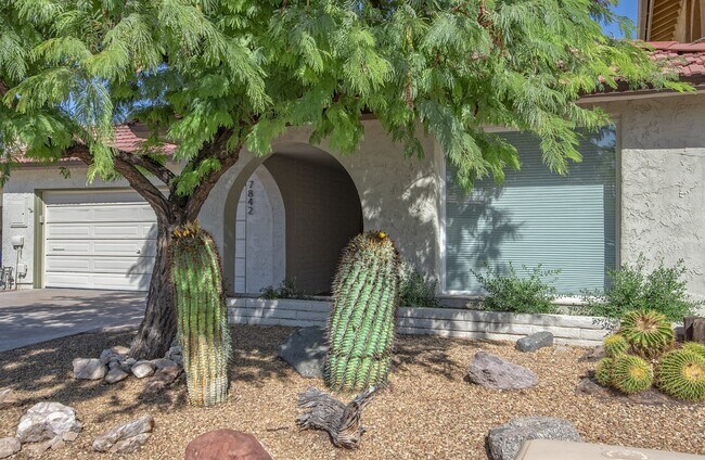 Photo - 7842 E MacKenzie Dr