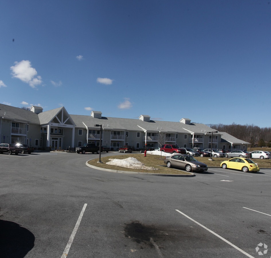 Photo - Milton Harvest