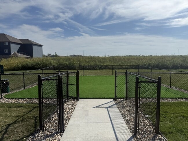 Dog Park