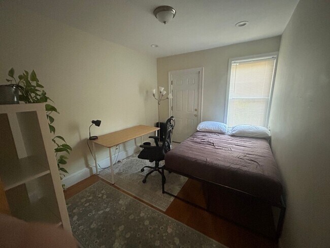 Building Photo - South End / Lower Roxbury 4 Bed – In-Unit Laundry – Porch – No Fee