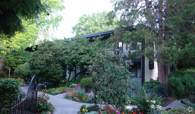 Photo - Ivanhoe Apartments