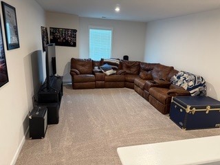 583 swamp grass drive