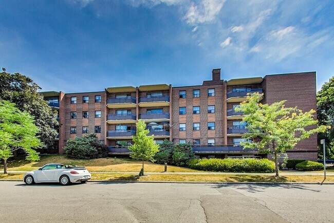 The Park Mills