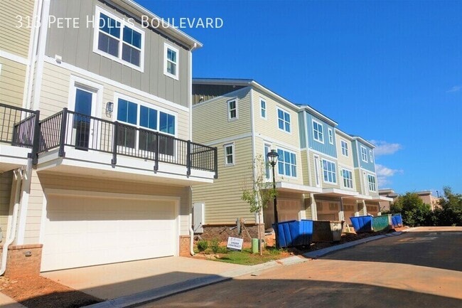 313 Pete Hollis Blvd