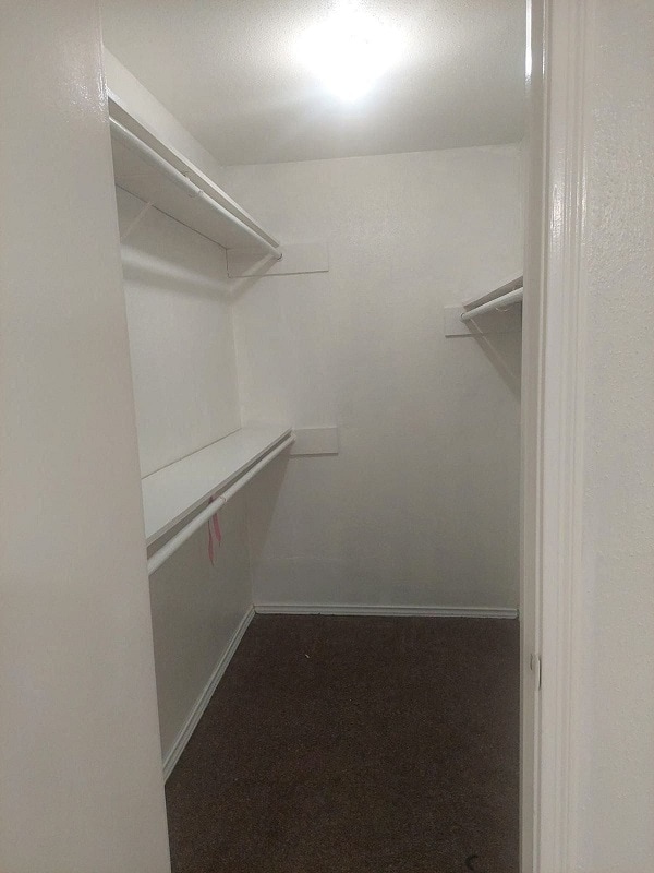 Photo - 12627 Ashford Meadow Dr