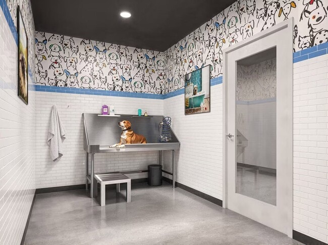 Pet spa and dog wash station at Trail House apartments.