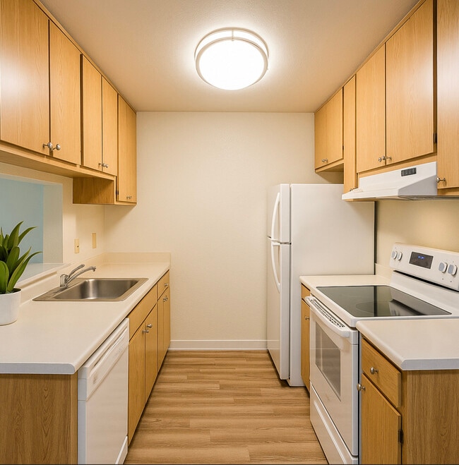 Photo - Camino Creek