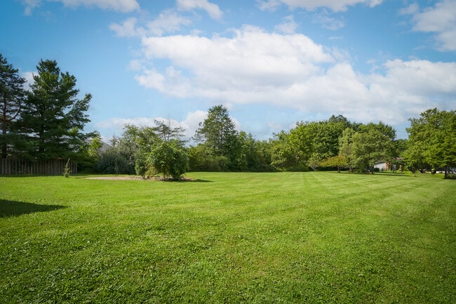 Photo - 4226 Broadview Rd