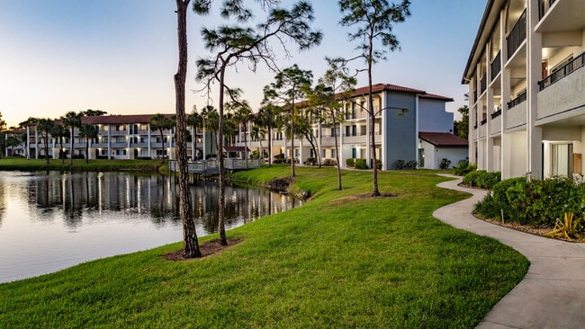 Cameron Cove