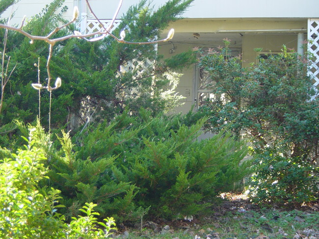 Building Photo - 283 Coronado St Unit Apt for rent