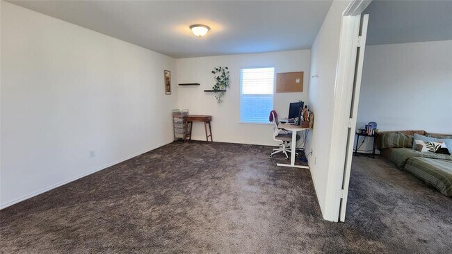 Photo - 402 Parrot Tulip View