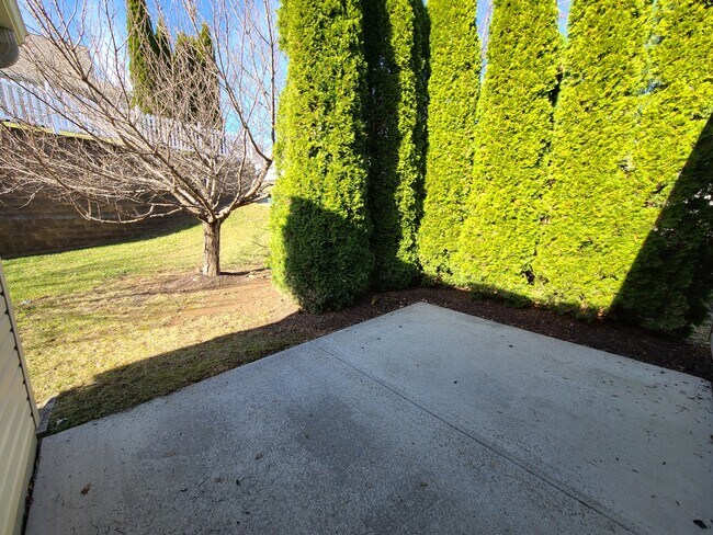 Patio trasero - 902 Parade Ln