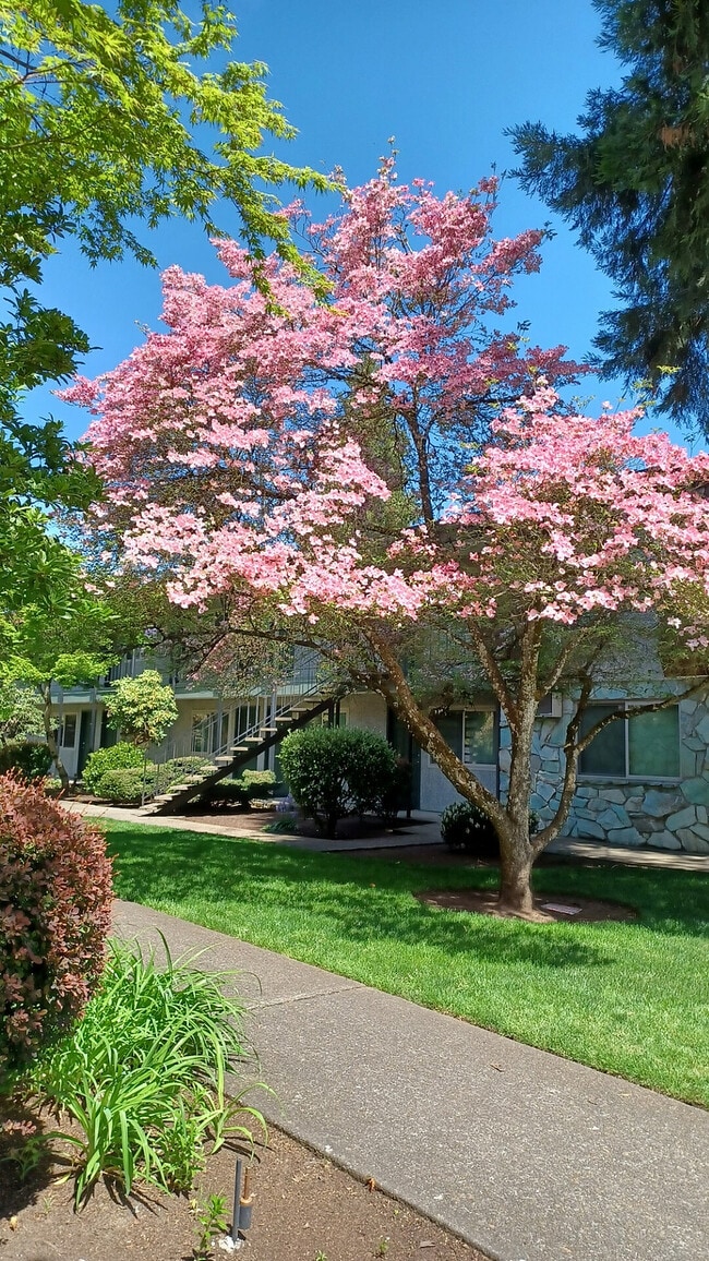 Apartamentos Jade West - Eugene, Oregón