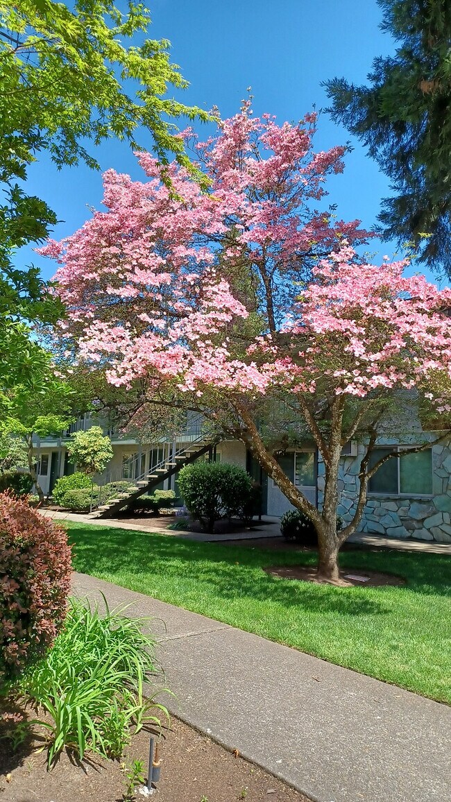 Apartamentos Jade West - Eugene, Oregón - Jade West Apartments