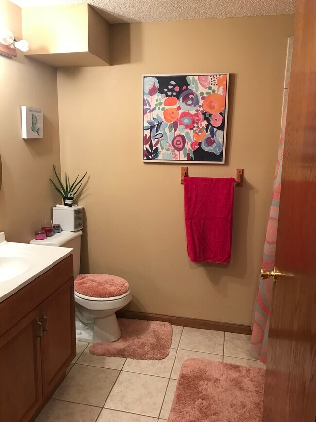 813 Birch St SW House House Rental in Isanti, MN