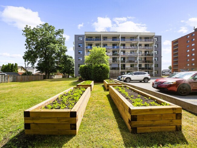 Photo - The Brighton