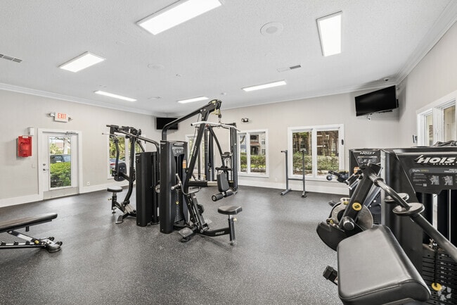 Gimnasio