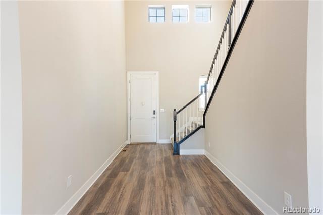 Photo - 199 Simmental Lp