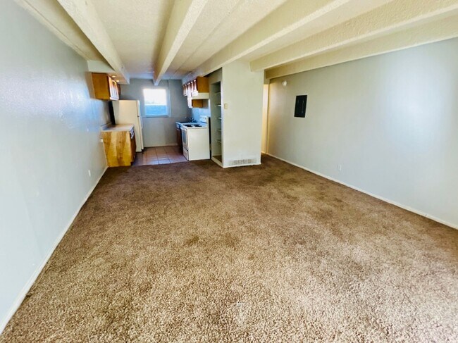 Building Photo - Studio Apartment in Denver - Ground Level - Move in Ready! Unit B2