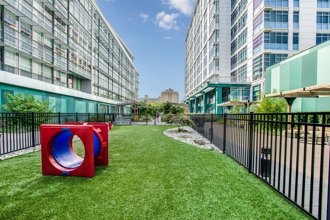 Dog Park at the Lex
