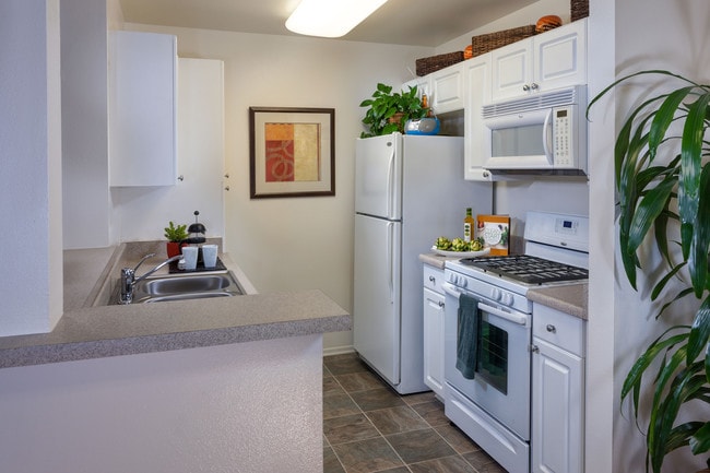 Terra Vista Apartments