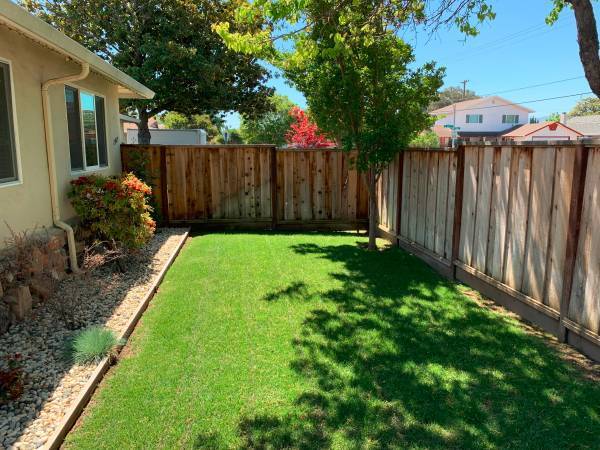 Backyard - 2409 Fordham Dr