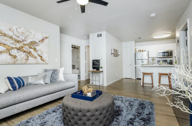 Photo - The Lory of Tallahassee