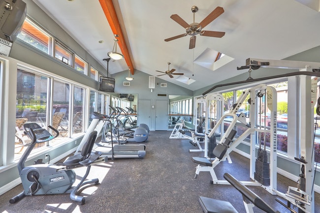 Photo - Preston Creek