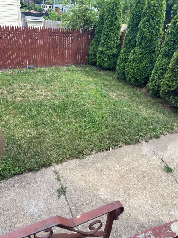 Photo - 398 Wellington Ave