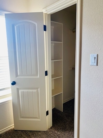 Photo - 5910 Cactus Flower Ln