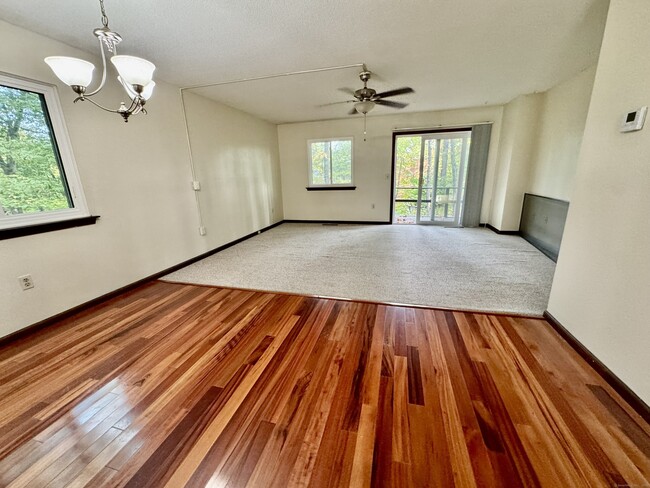 Photo - 550 Darling St Unit 2A