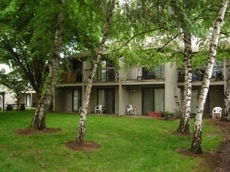 Springtree Apartments - Springtree Apartments